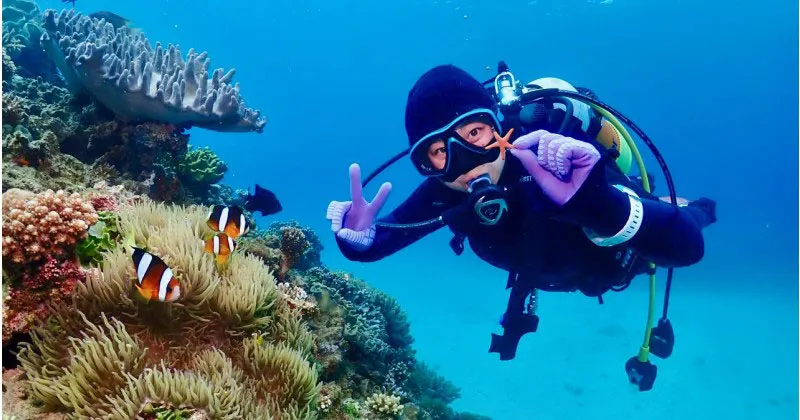 Diving in Maaya Thila Maldives