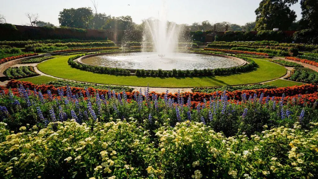 Rose Garden