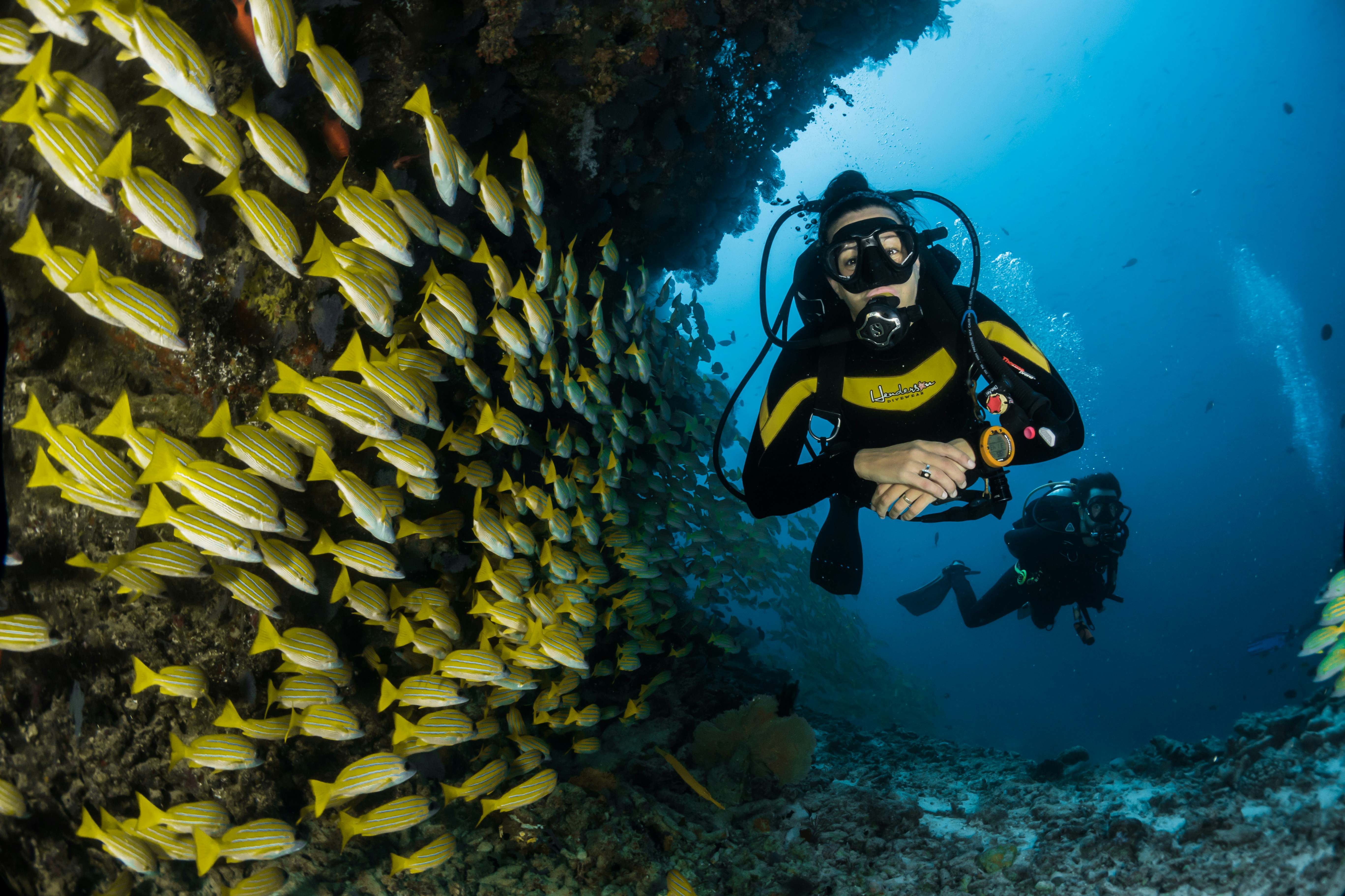 snorkeling and diving in Banana Reef maldives