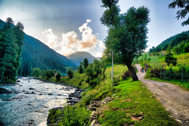 Aru Valley