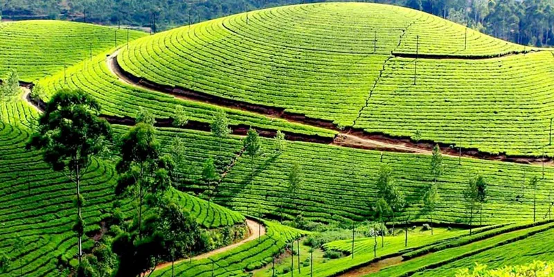 Ooty