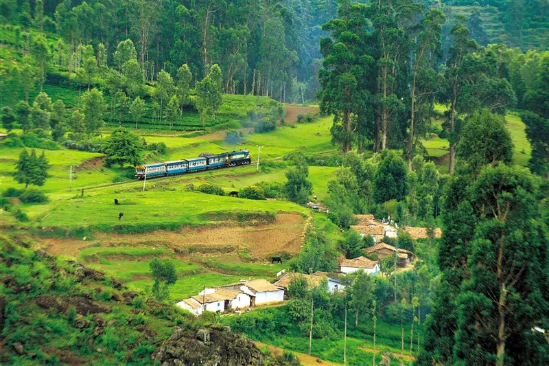 Ooty,Tamil Nadu