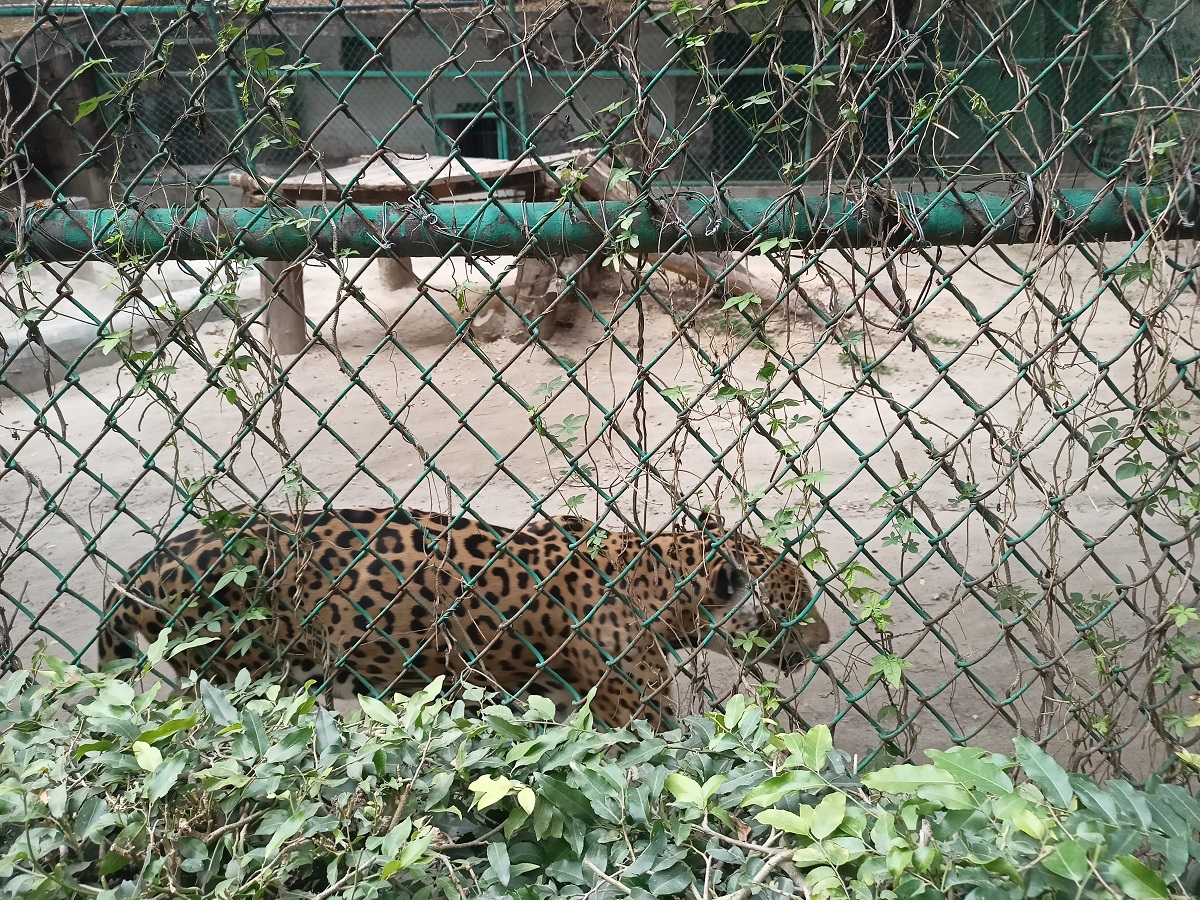 National Zoological Park