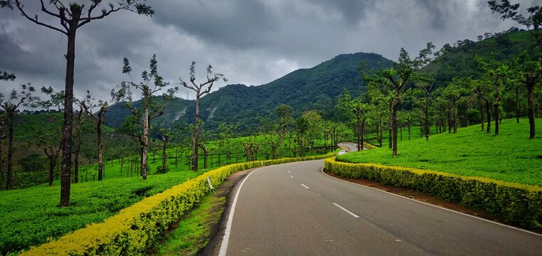 Ooty