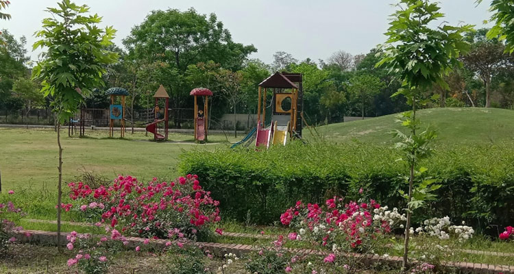 Rose Garden