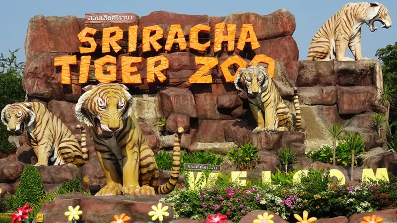 Sriracha Tiger Zoo,Pattaya