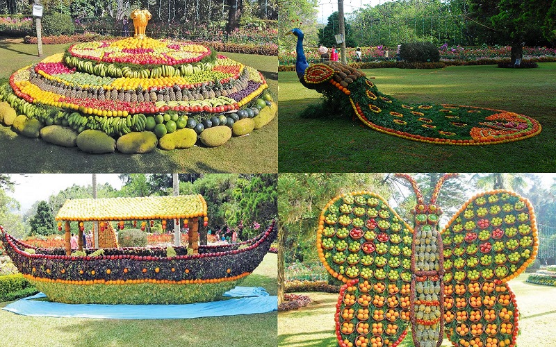 ooty summer festival