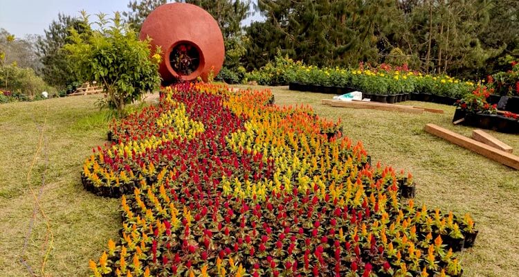 Blossom International Park Munnar