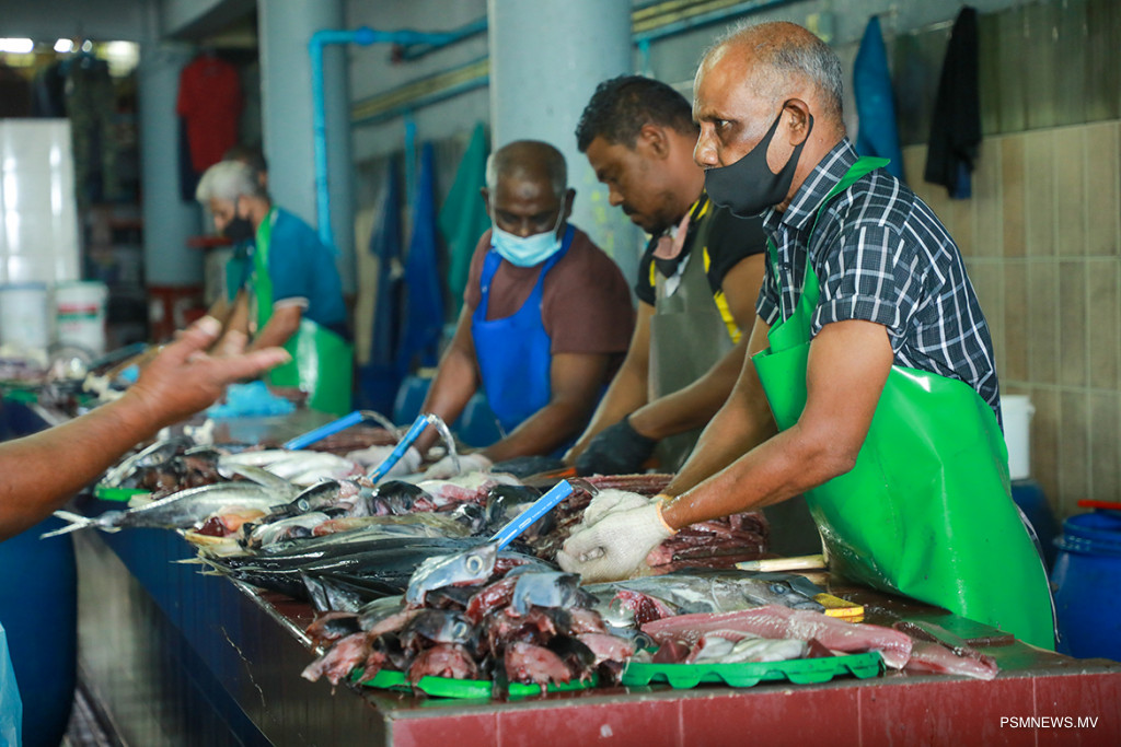Male Fish Market and Local Market