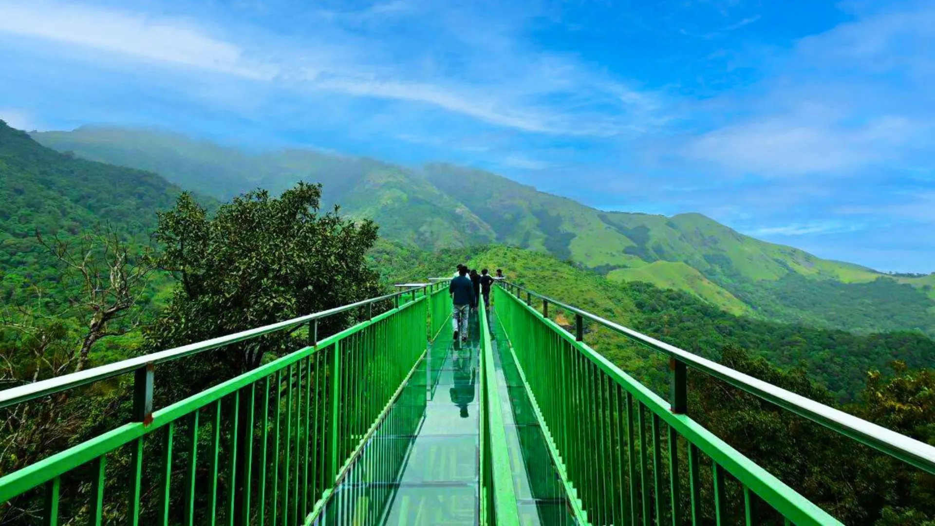 Top Destinations in Wayanad