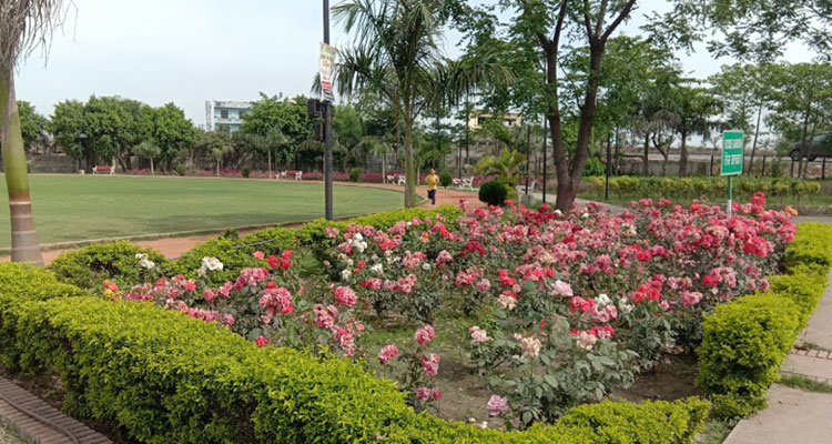 Rose Garden,Amritsar
