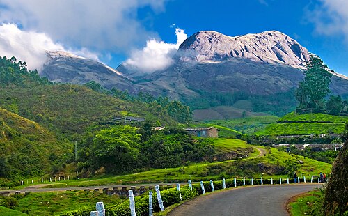 Munnar, The Green Royalty