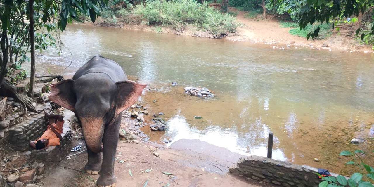 Bhagwan Mahavir Wildlife sanctuary