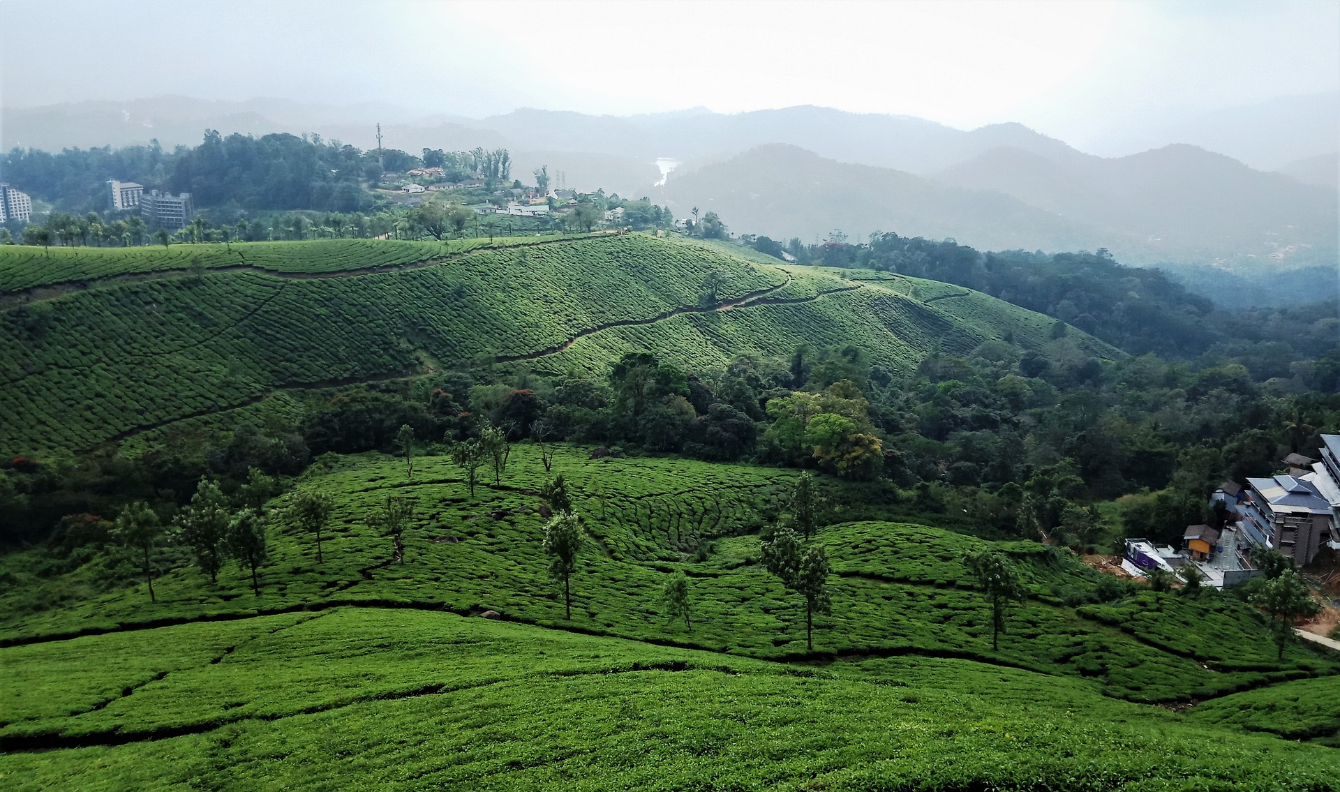 Spice Gardens Munnar