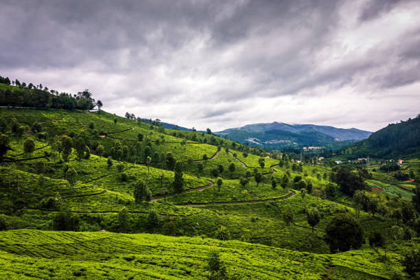 Kotagiri,Tamil Nadu