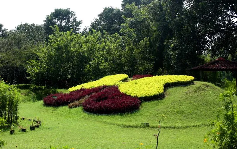 Butterfly Park 