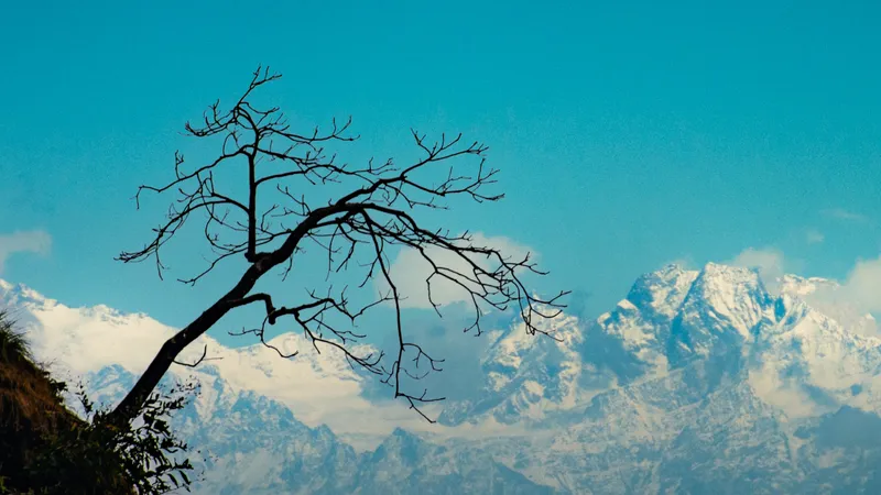 Dhanaulti