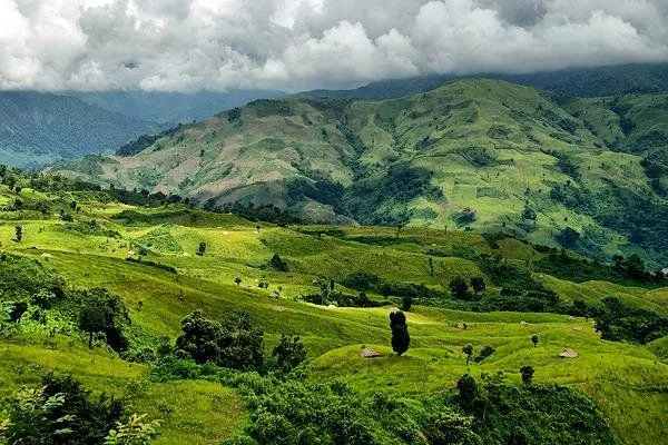Where To Stay In The Aru Valley? 