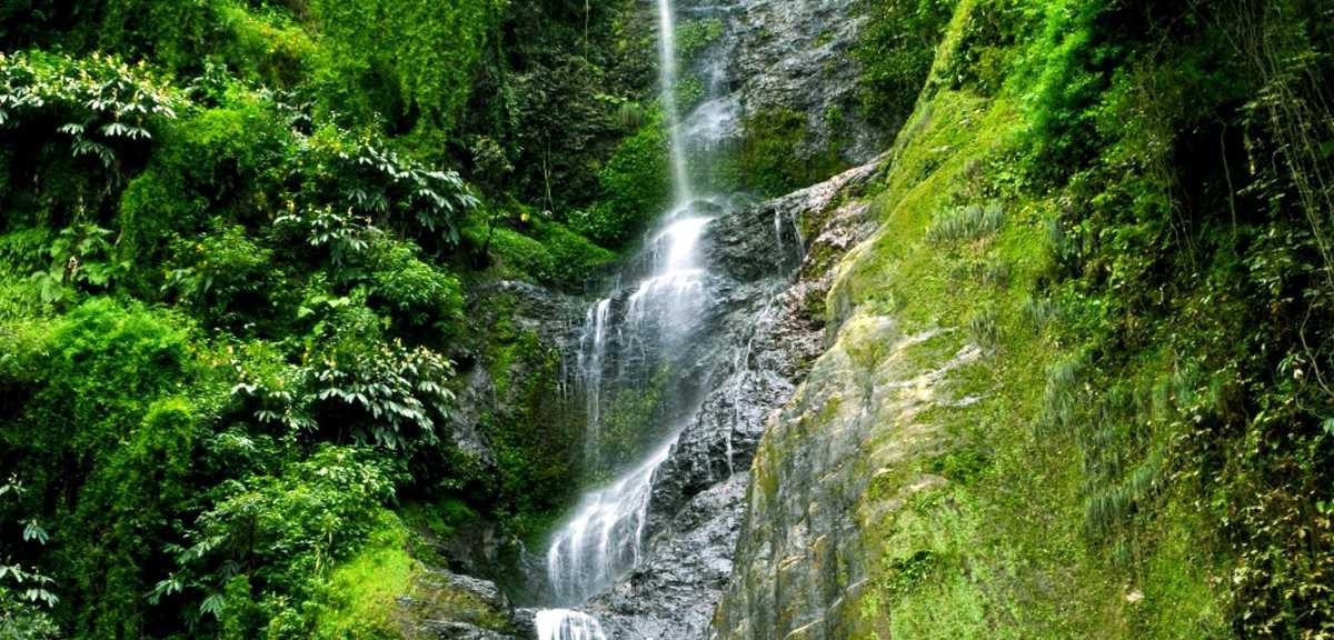 Check out the Chadwick Waterfall
