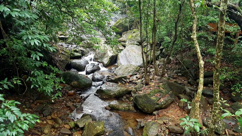 Wayanad