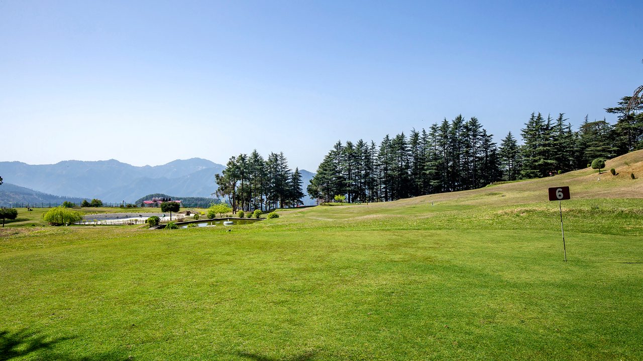 Spend a day golfing at Naldehra