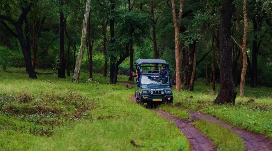 Nagarhole National Park and Tiger Reserve