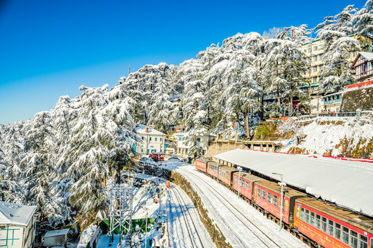 Shimla,Himachal Pradesh