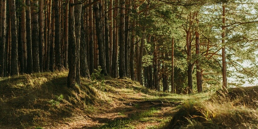 Witness picturesque scenery from the Kiala forest