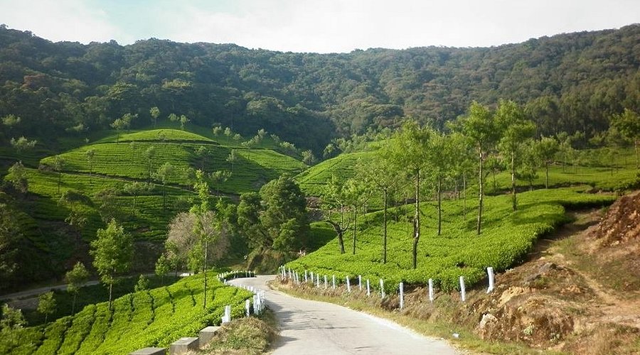 Marayoor Sandalwood Forest Exploration Munnar