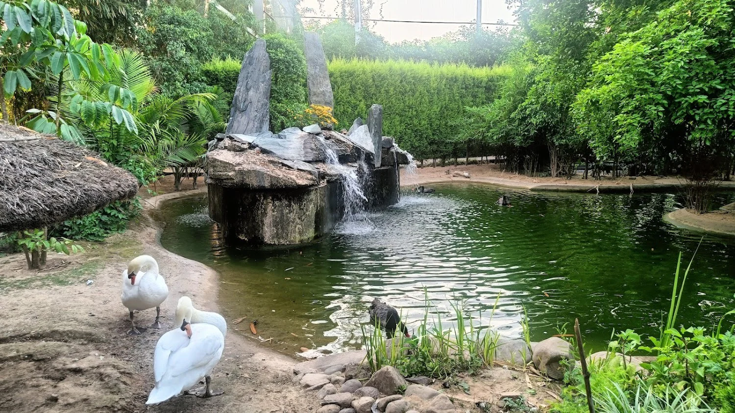 City Bird Wildlife Sanctuary