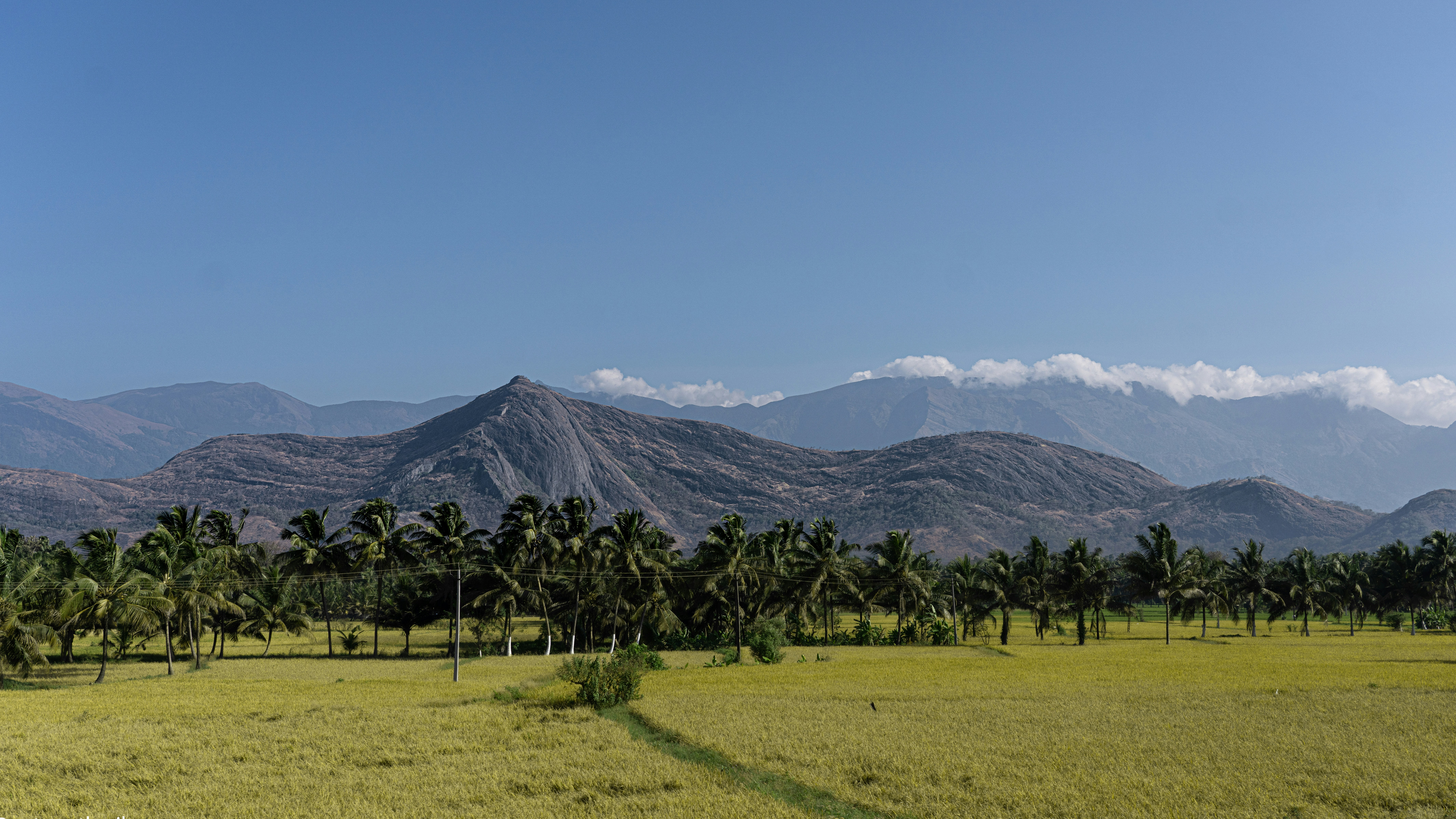 Palakkad Kerala