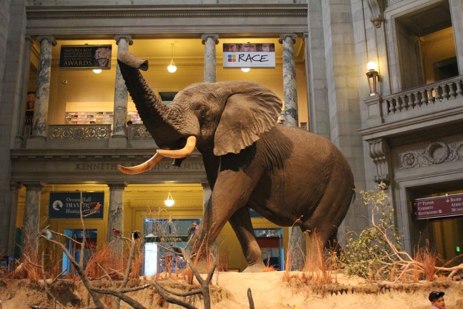 National Museum Maldives