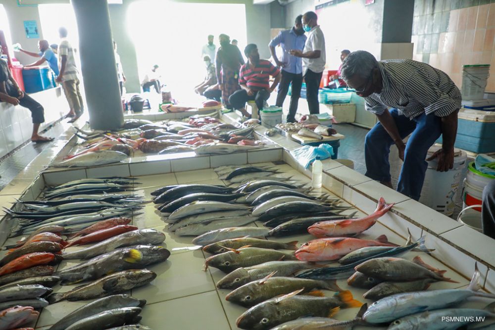 Experience the Local and Fish Market