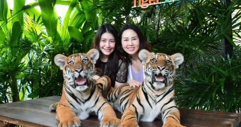 Tiger Park,Pattaya