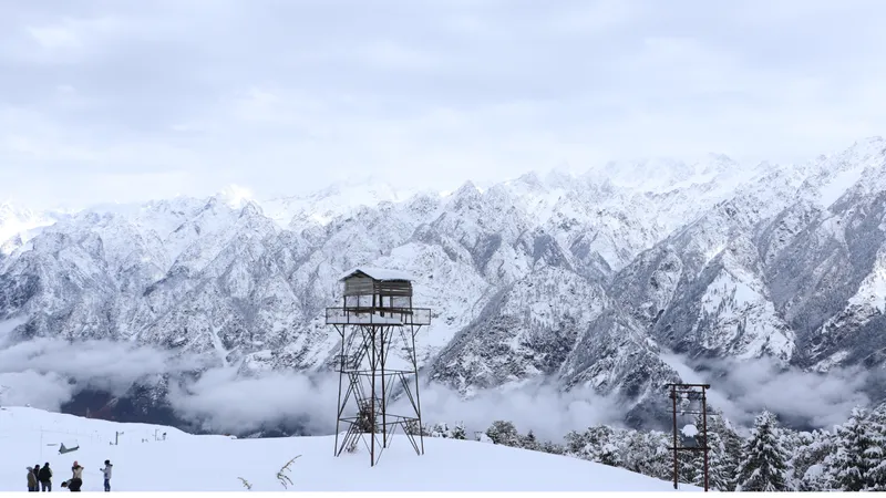 Auli