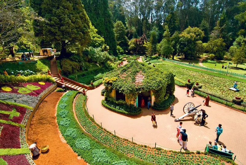 Ooty thread garden