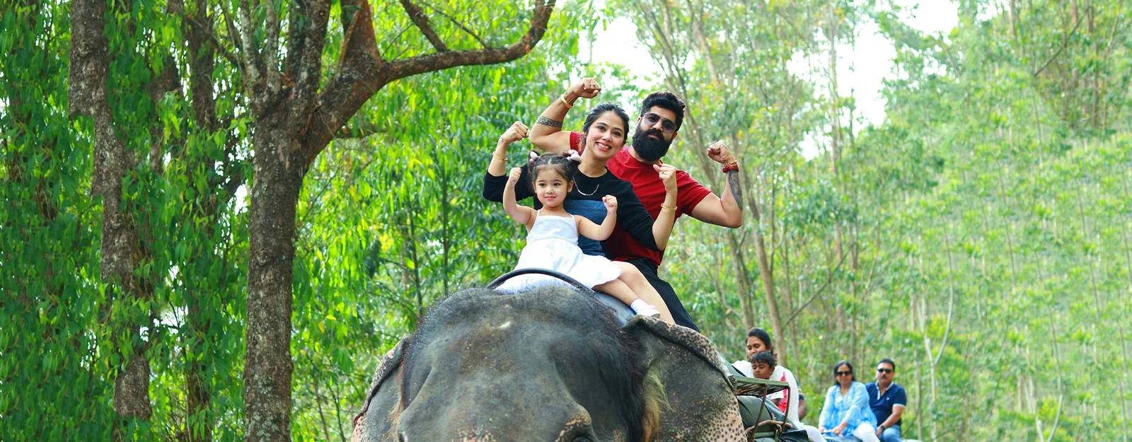 Carmelagiri Elephant Park Munnar