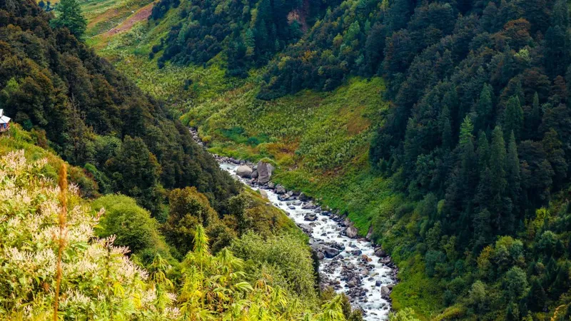 Malana
