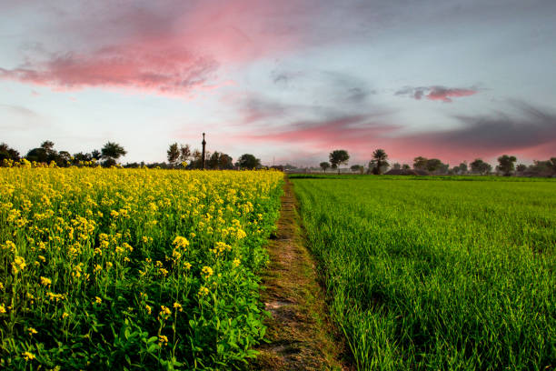 Punjab Tourism