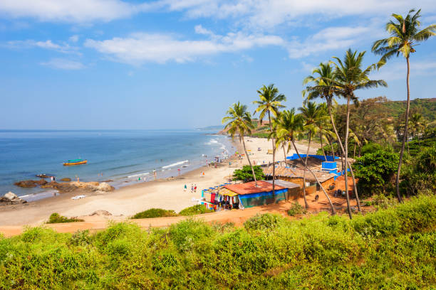 Candolim Beach
