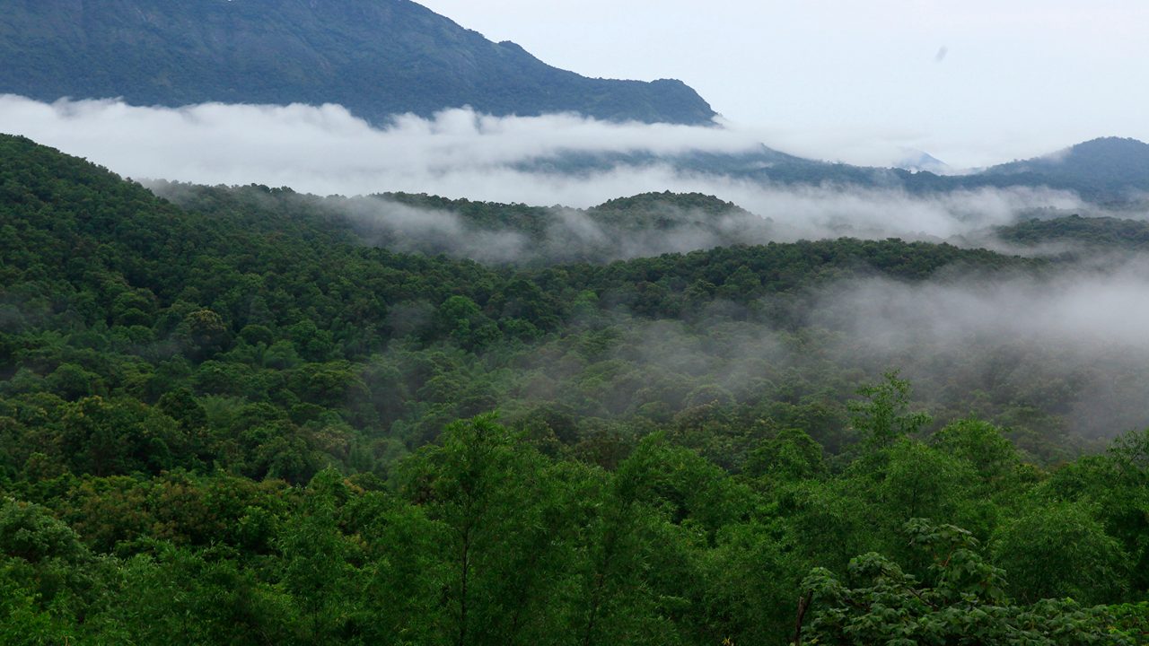 Silent Valley National Park Kerala