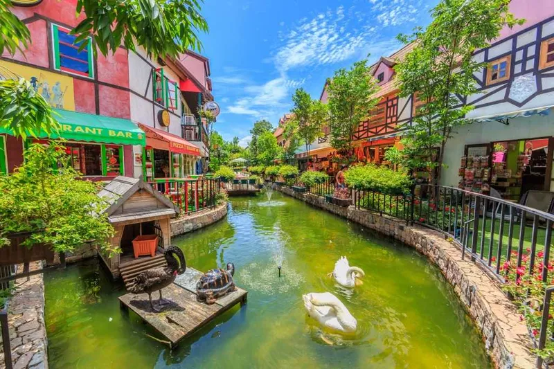 Mimosa Pattaya